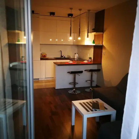 Apartament W Krakowie Z Widokiem Na Wisle * Krakov